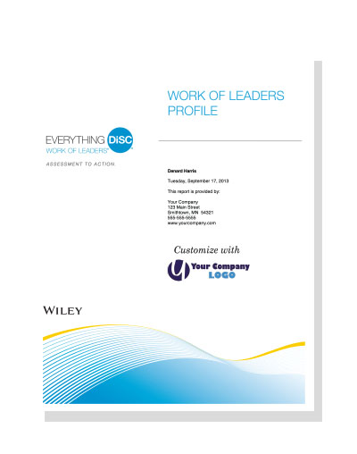 EVERYTHING DISC WORK OF LEADERS PROFILE